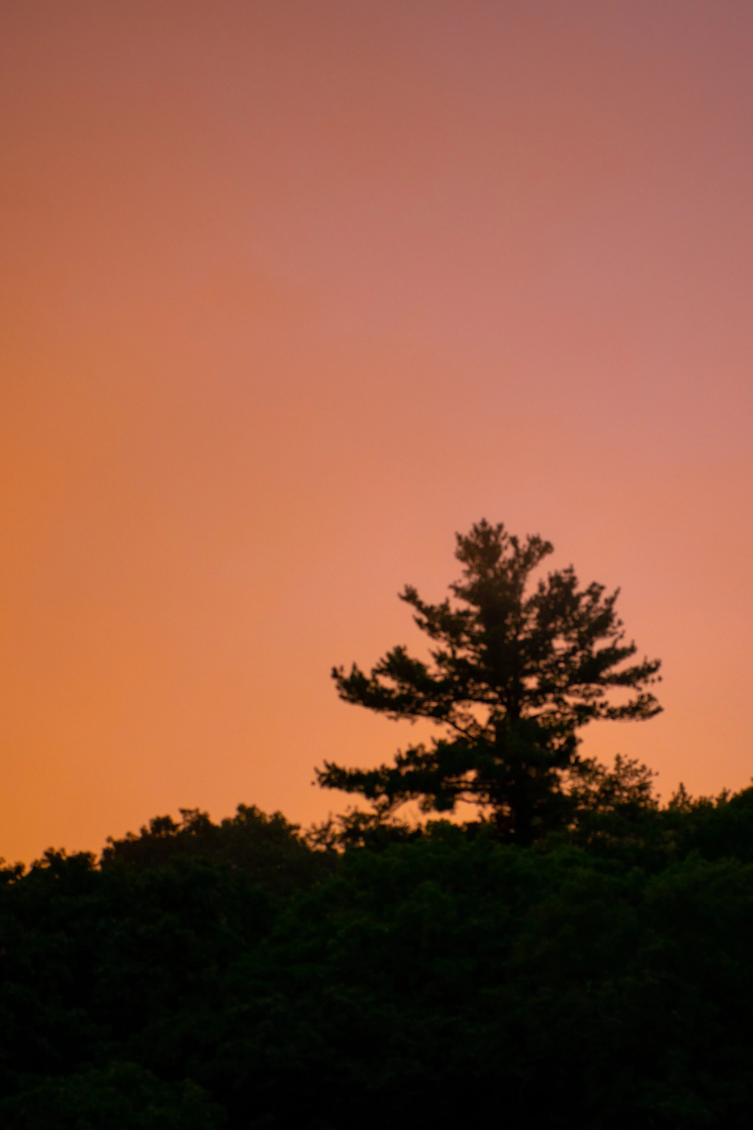 DSC_0955.jpg