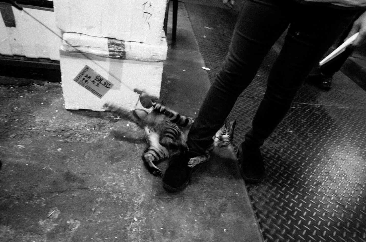 February 2024
.
.
.
.
.
. 
#streetphotography #streetsnap #filmpgotography #myfeatureshoot #everybodystreet #spicollective #worldstreetfeature  #voidtokyo #bnw #blackandwhite #myspc #bnw_captures #写真好きな人と繋がりたい #写真 #bnw_greatshots #london #ricohgr2 #