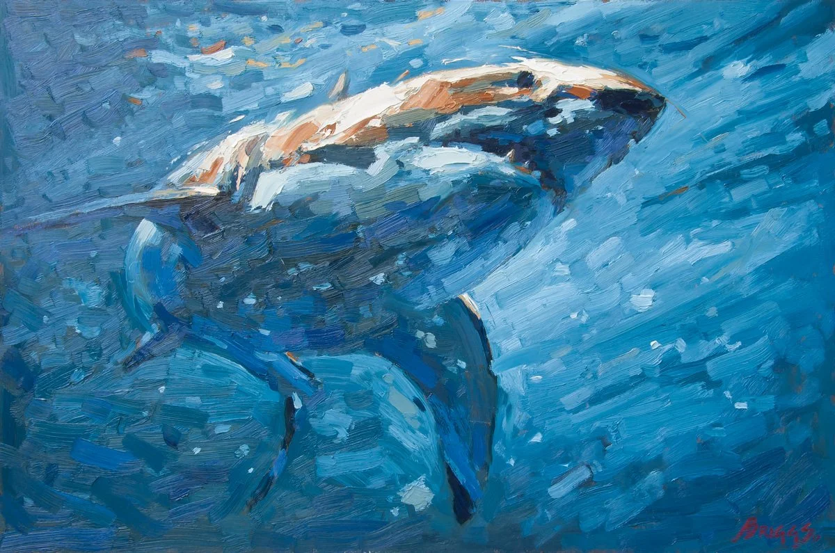 Adam-Briggs-Shark.jpg
