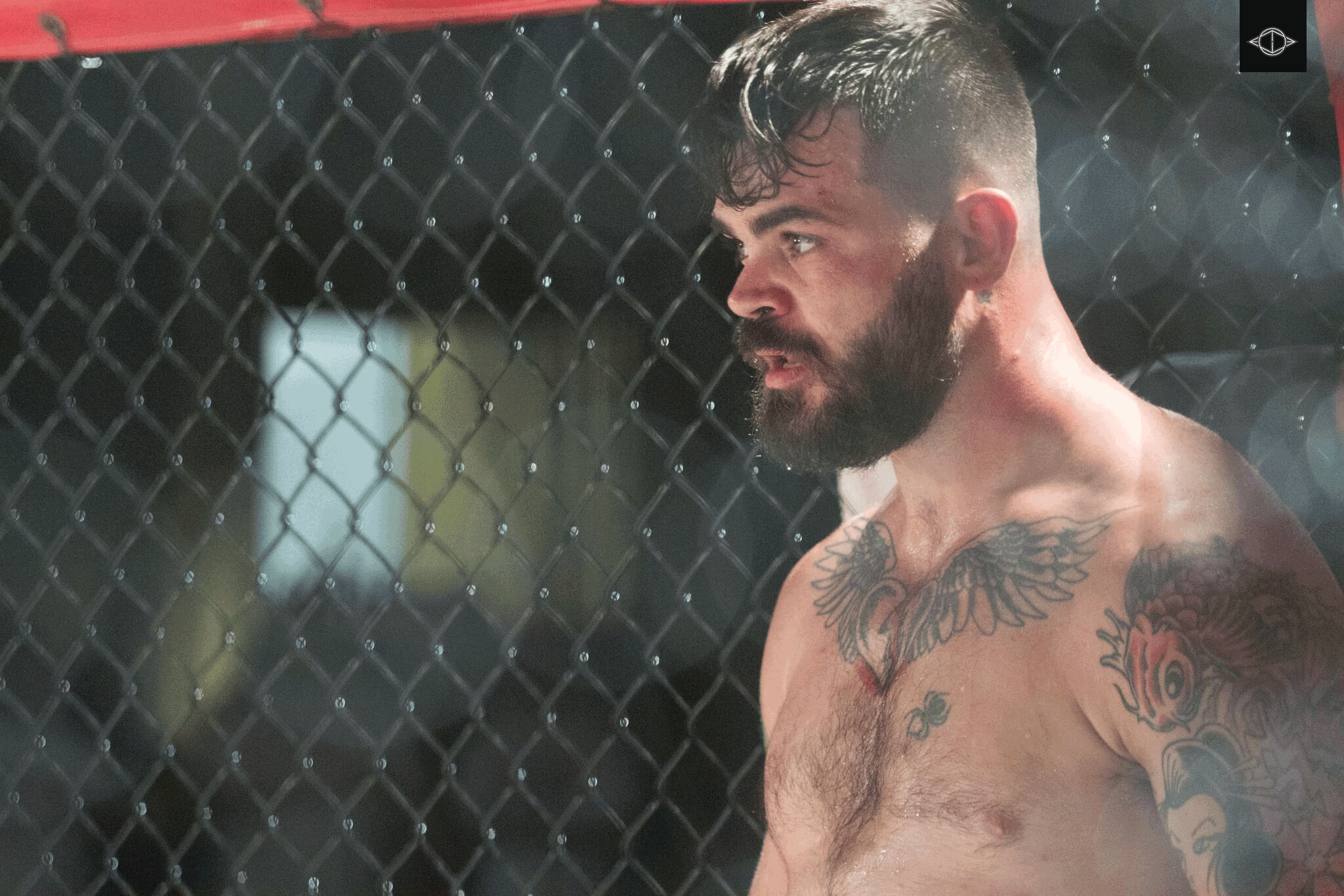 TrWh_mmashot02.png