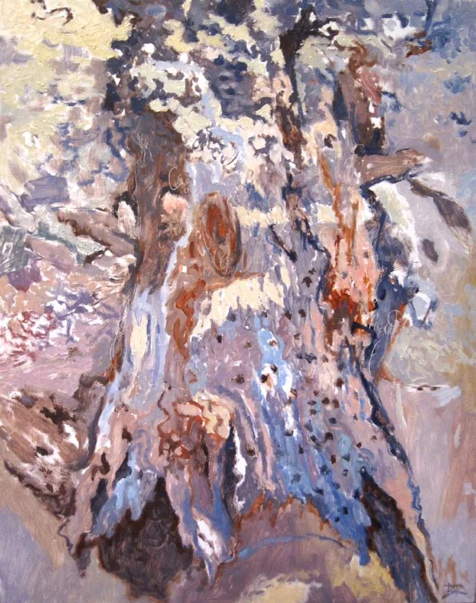 The Holy Branch 2 (Joshua Tree, California)