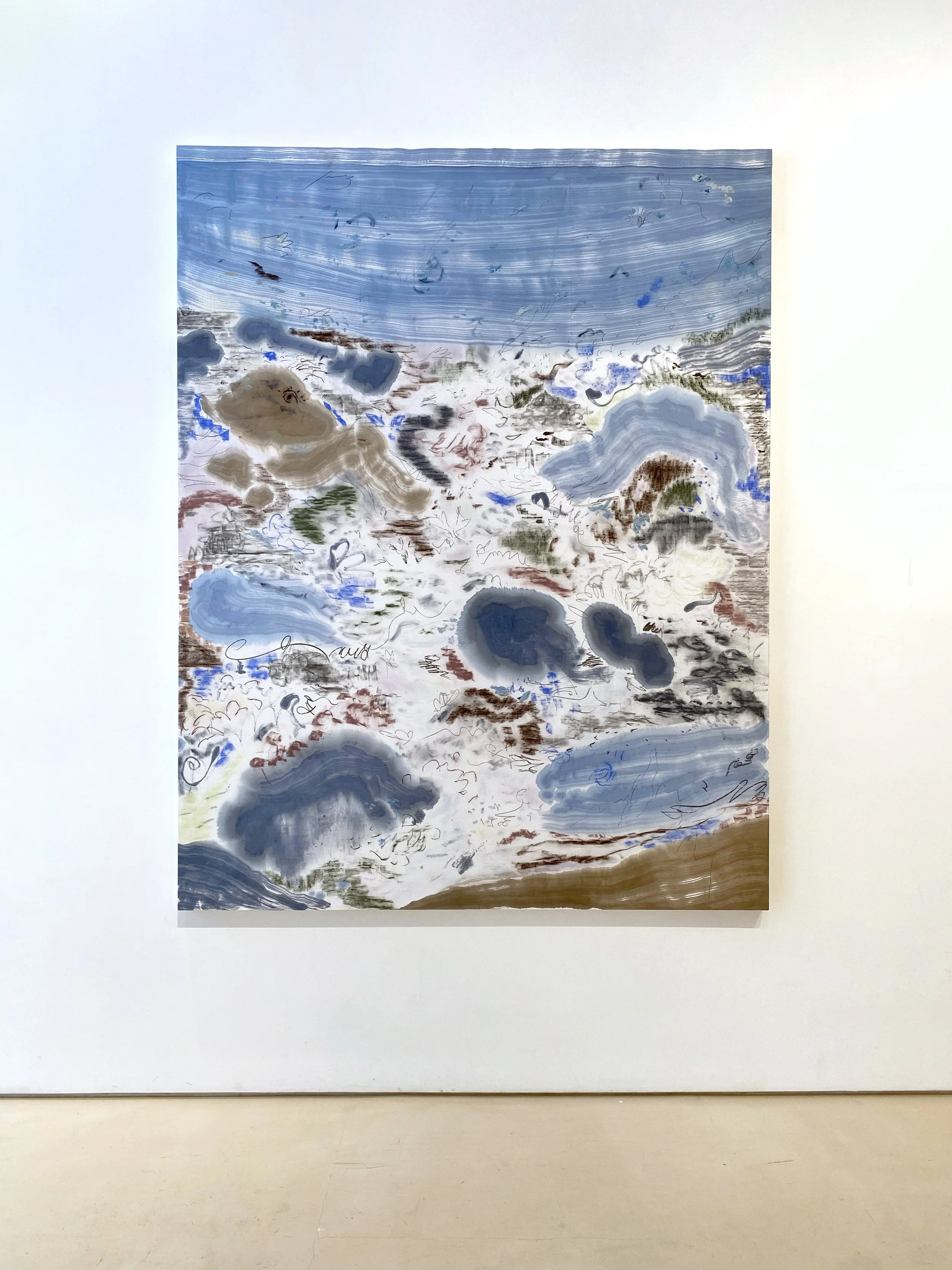 Blue Curtains install.JPEG