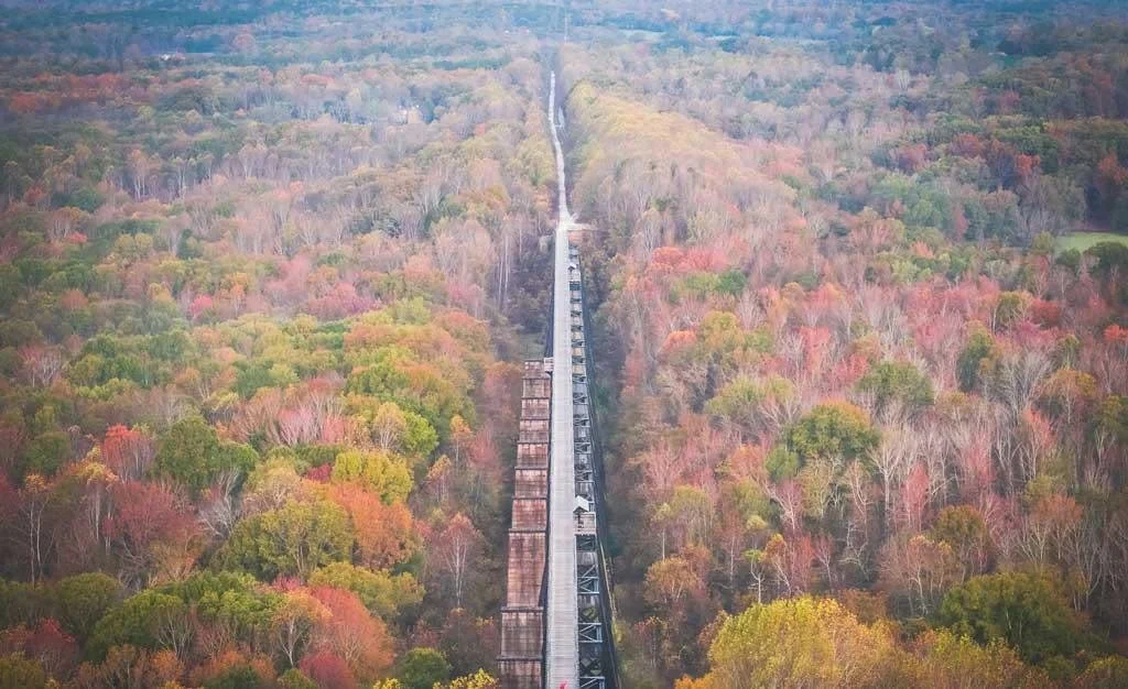 High Bridge day linear.jpg