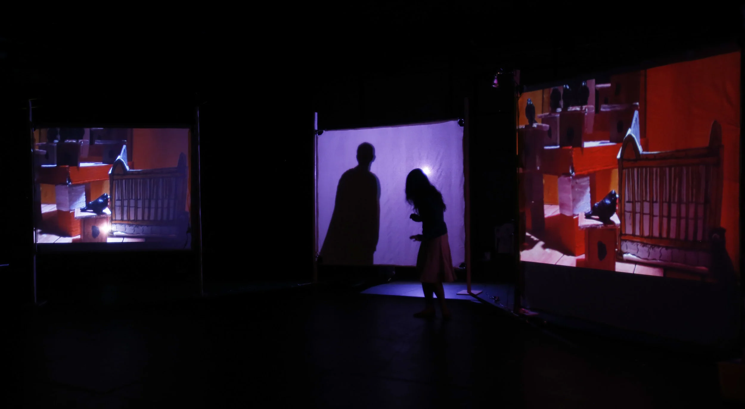 Cameras soar through miniature scenery and frightful dreamscapes as Miniature Curiosa takes you on a multimedia exploration into scale and suspense.&nbsp;  Birds of America premiered at Pittsburgh's New Hazlett Theatre in 2013.&nbsp; 