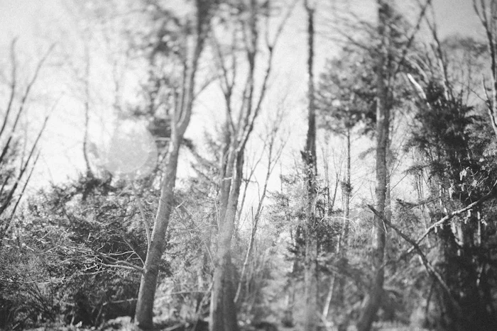 kj_bw-postone-34.jpg