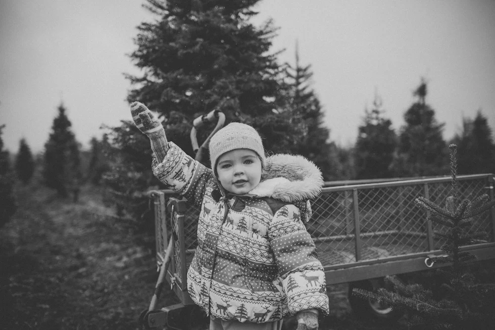 sczebel__evans_2013_christmas-3.jpg