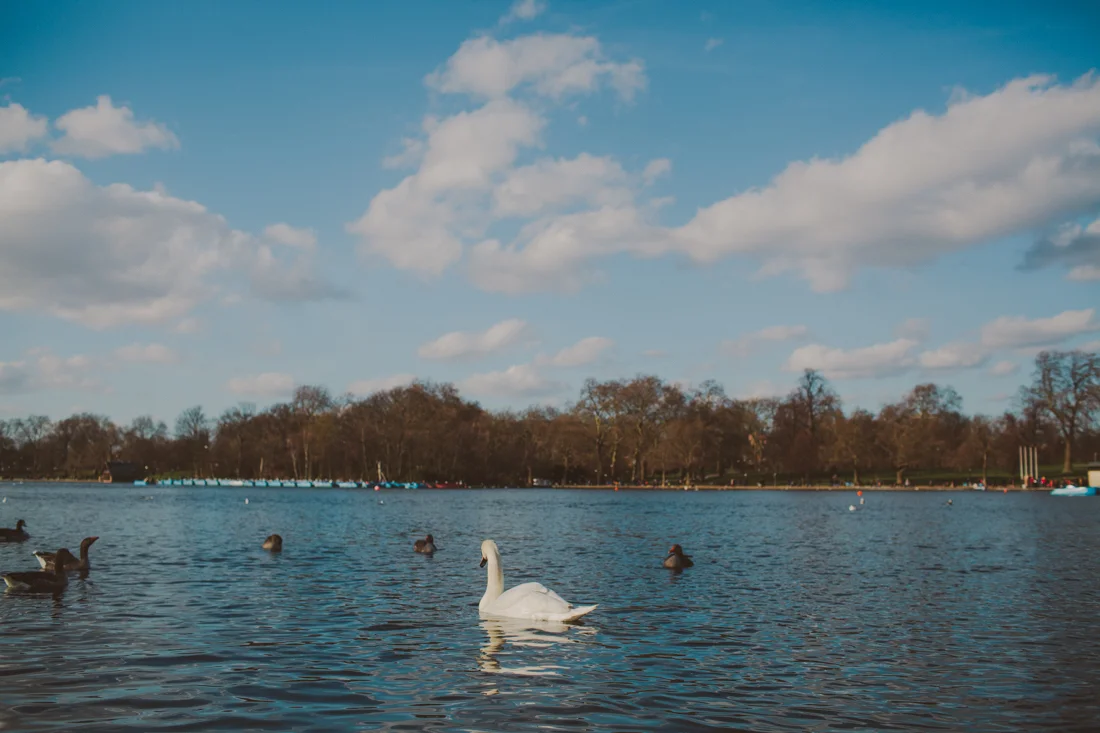 hyde_park_london_wedding_photographers_green_giner-6.jpg