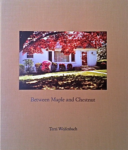 Terri Weifenbach / Between Maple and Chestnut