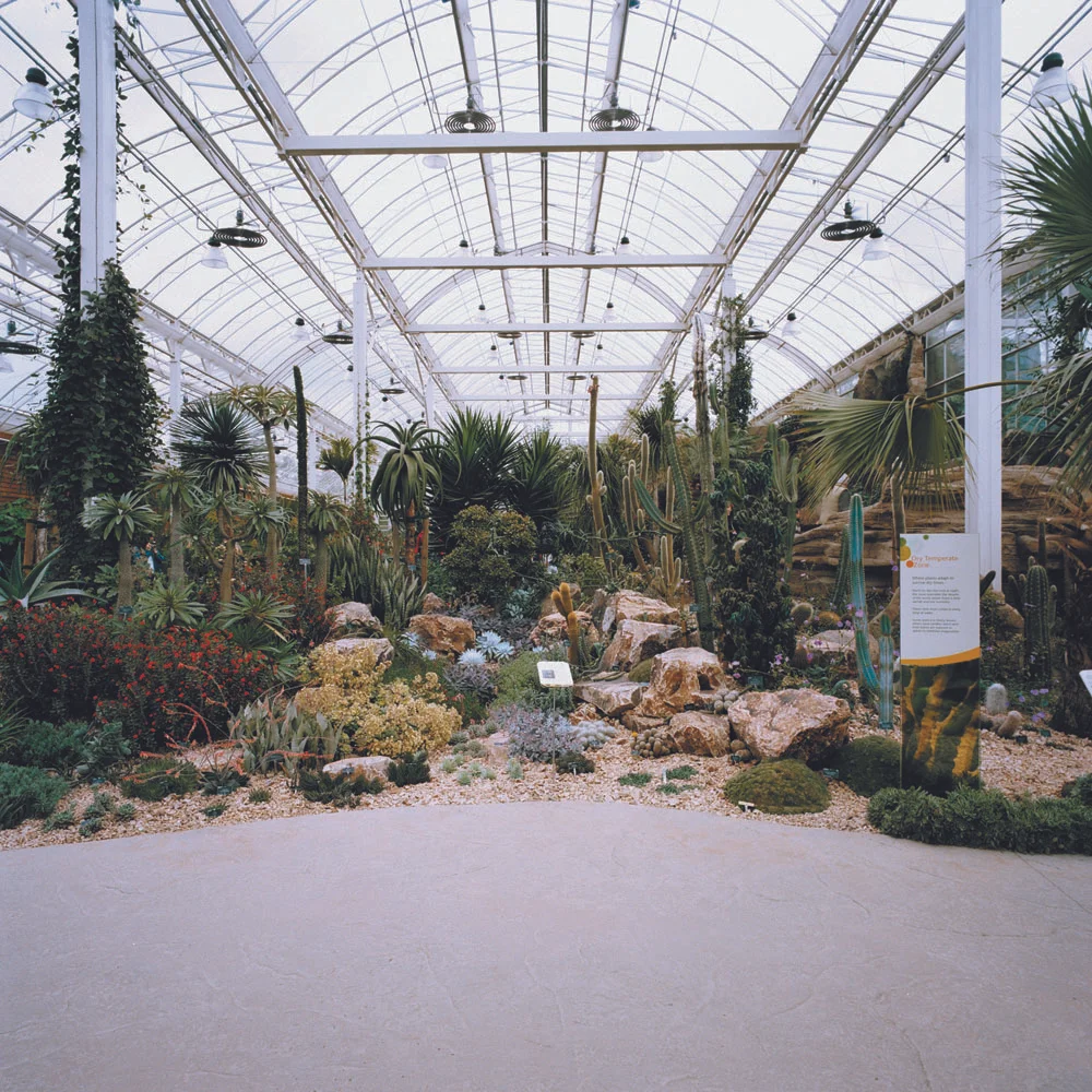 Taku Kimura / Glasshouse