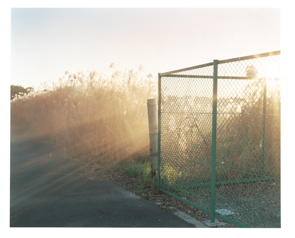 ©Yuji Hamada, Courtesy of the artist and Photo Gallery International
