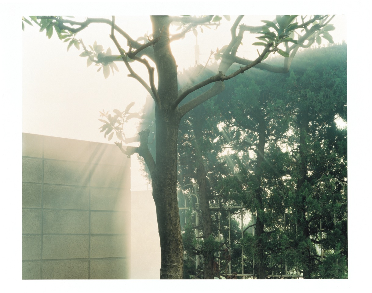 ©Yuji Hamada, Courtesy of the artist and Photo Gallery International