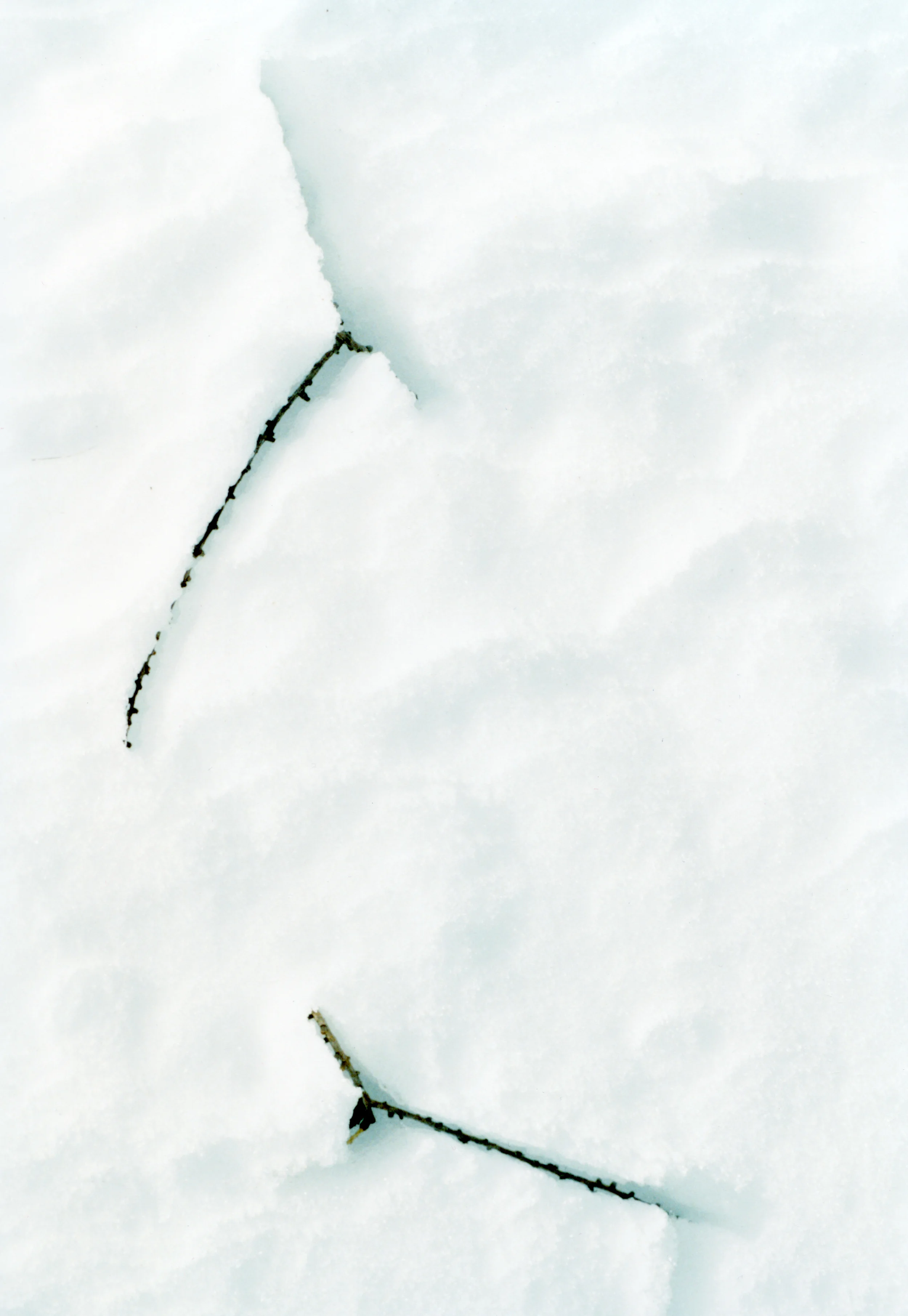 ©Yuji Hamada, courtesy of Photo Gallery International