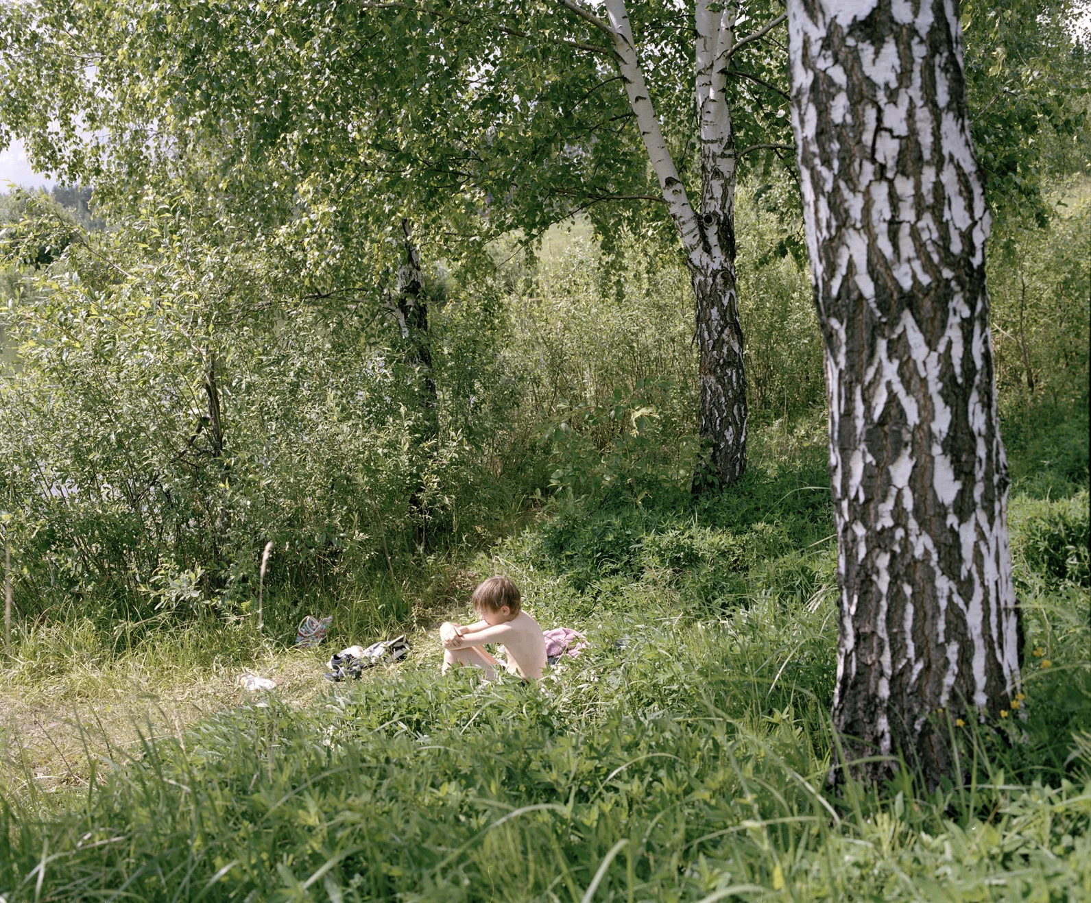 ©Elena Tutatchikova