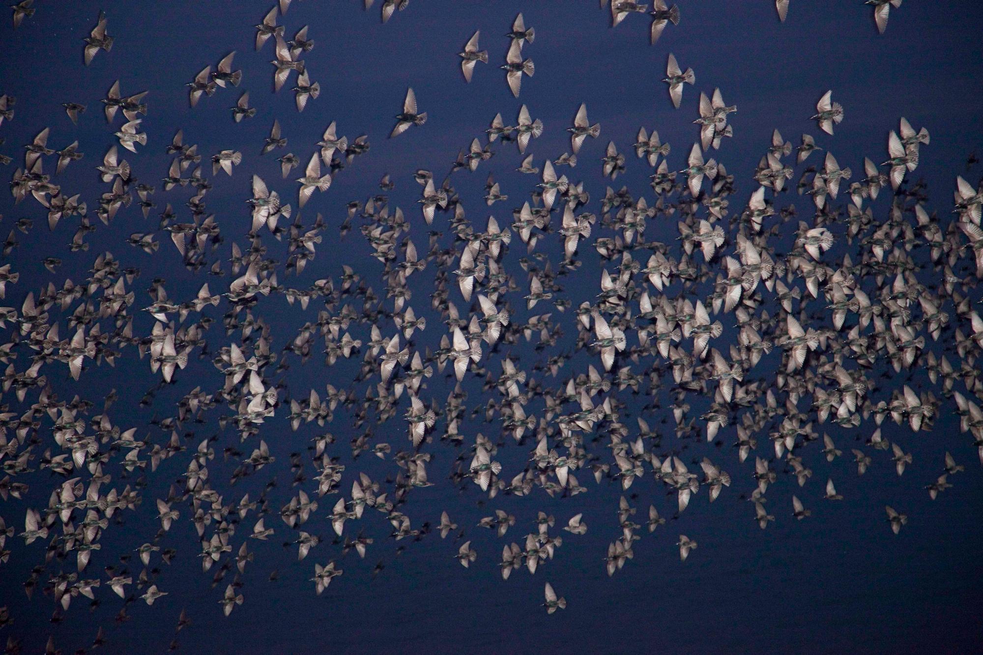 ©️ Rinko Kawauchi