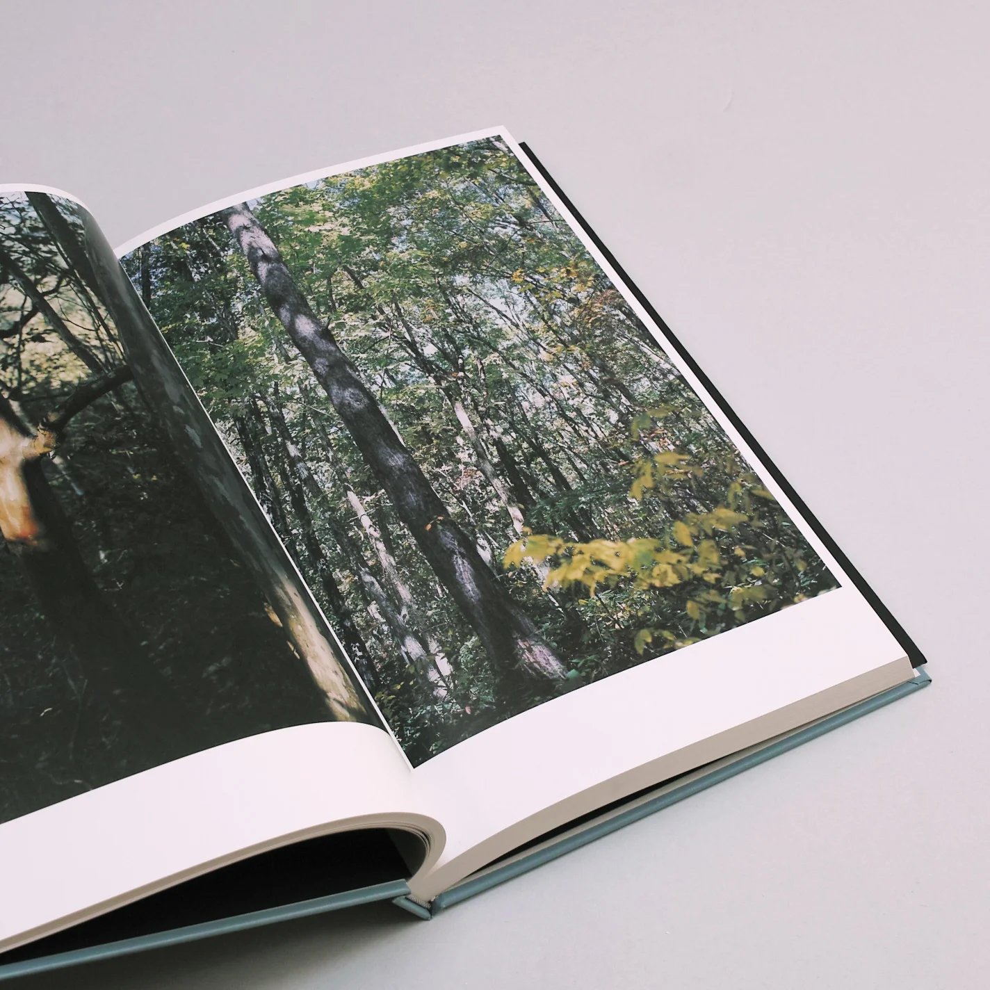 その森の子供 Takashi Homma 2011 Exhibition] Takashi Homma /その森の子供 — POST