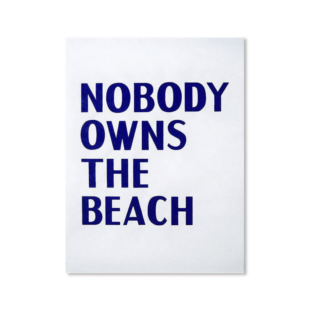 Nobody Owns The Beach poster.jpg