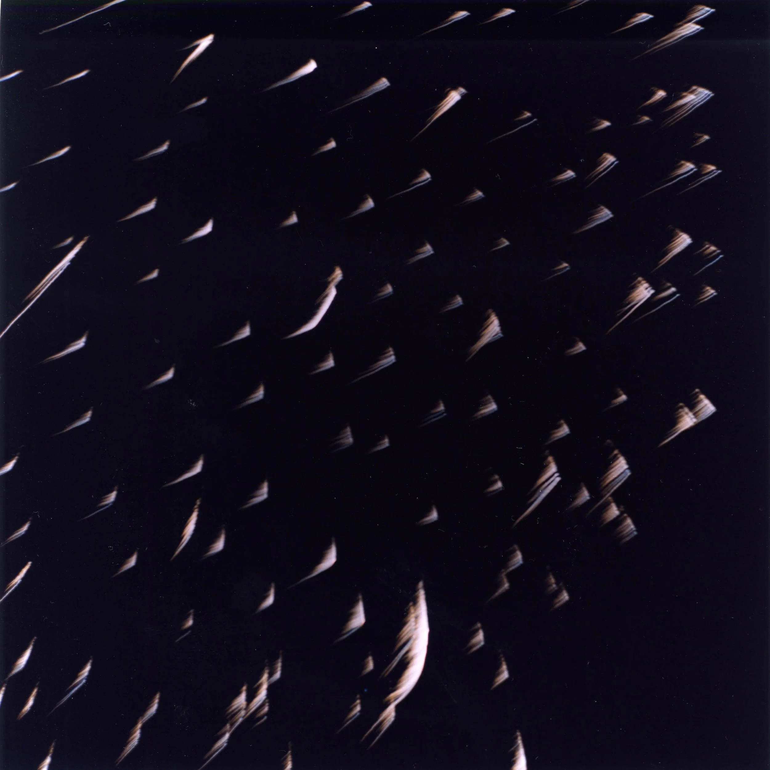 Exhibition] 川内倫子 / いまここ — POST