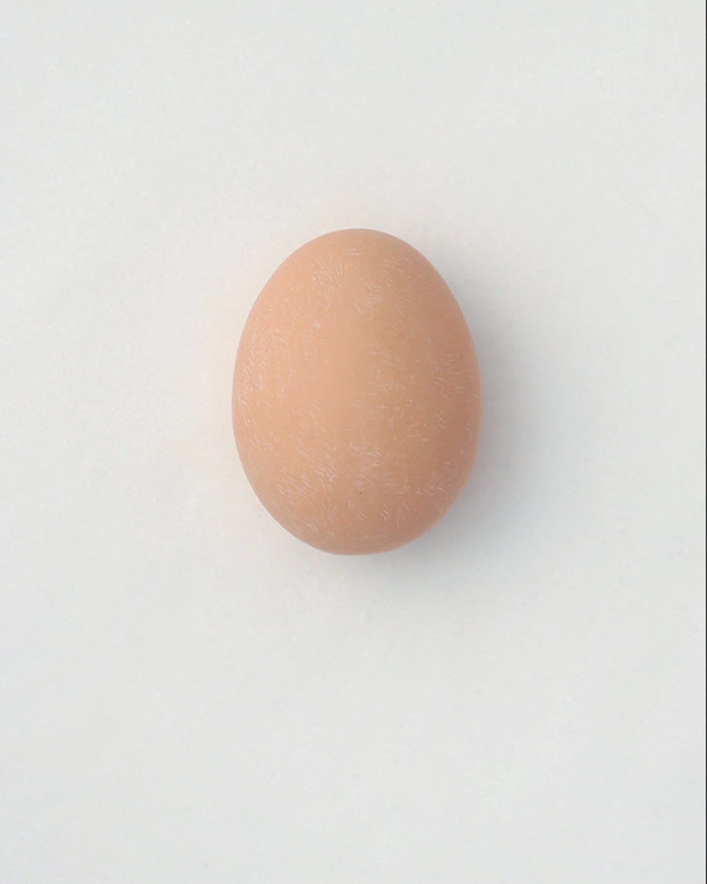 egg_post_03.JPG