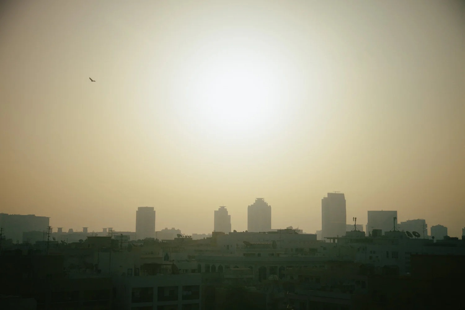 Dubai-82.jpg