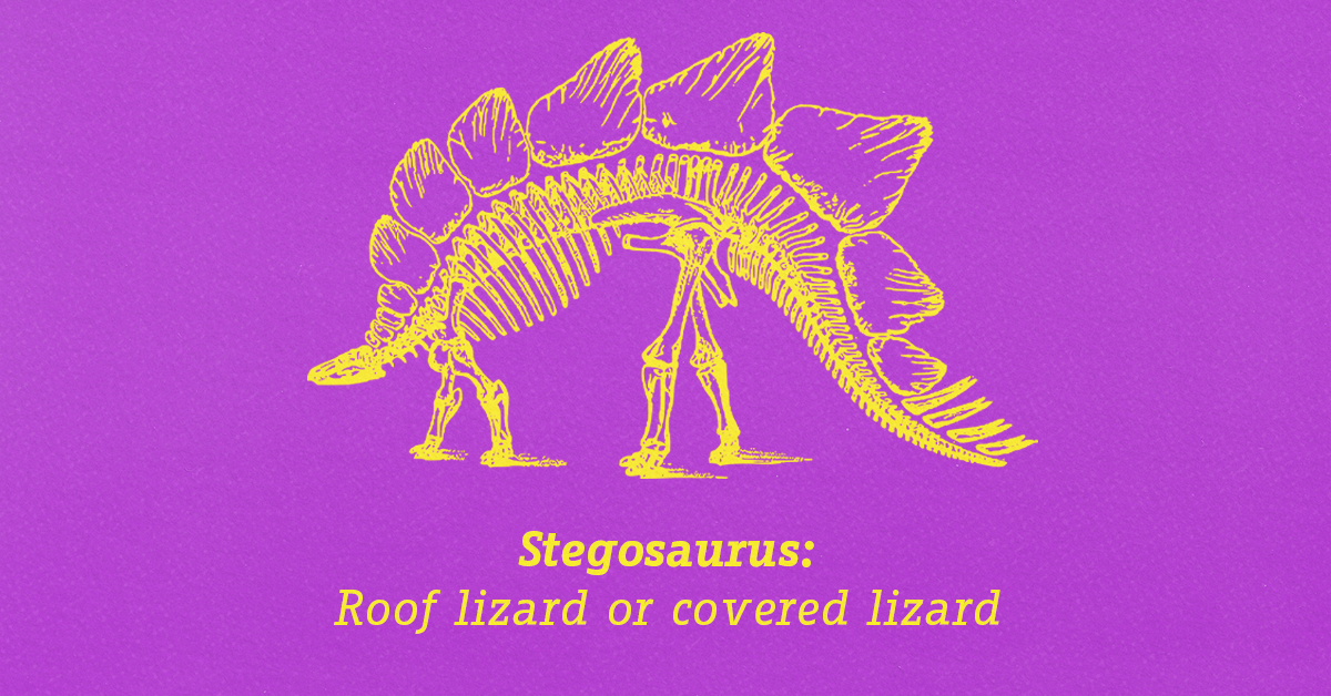 00b189ca-e953-4400-b03c-e23d27407287_rw_1200.png