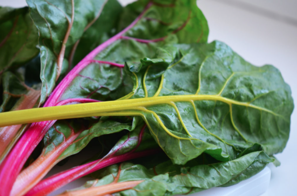 Swiss Chard