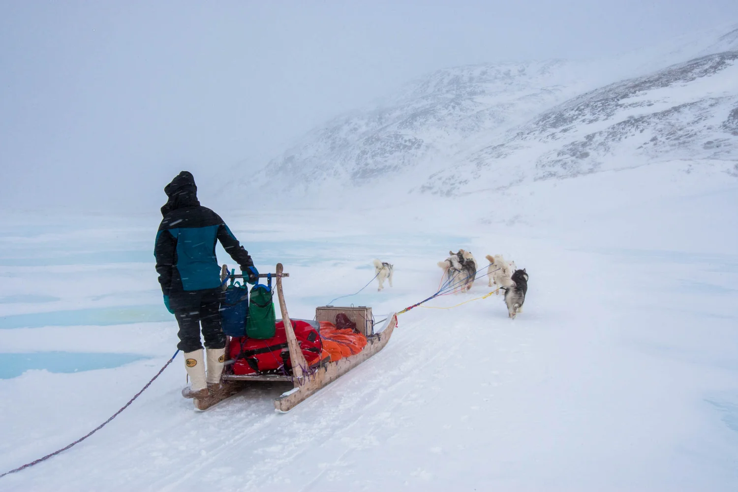 Arctic Expedition with Will Steger