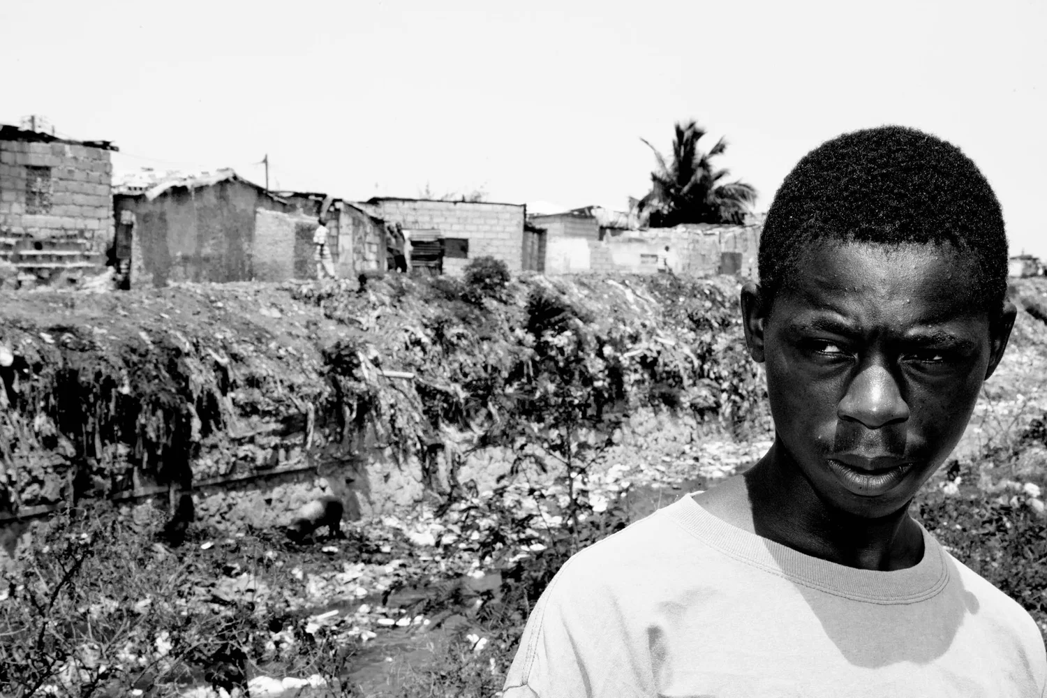 Haiti after the Earthquake