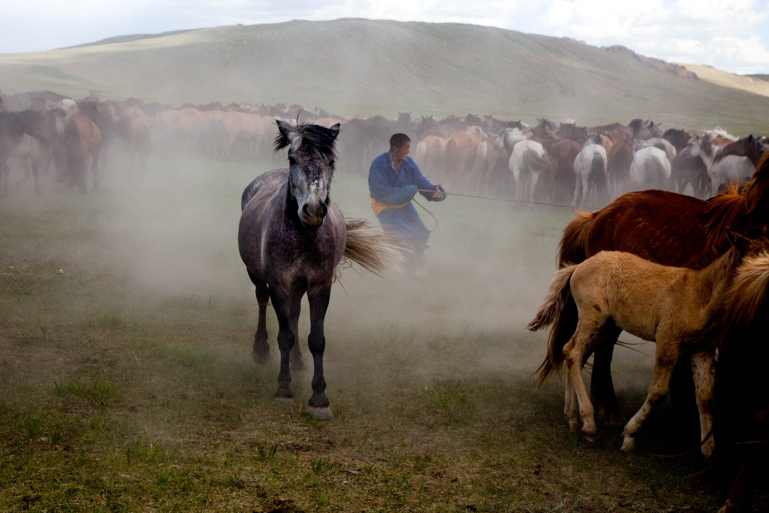 national-geographic-photographer-ben-horton-mongolia-expedition-9.jpg