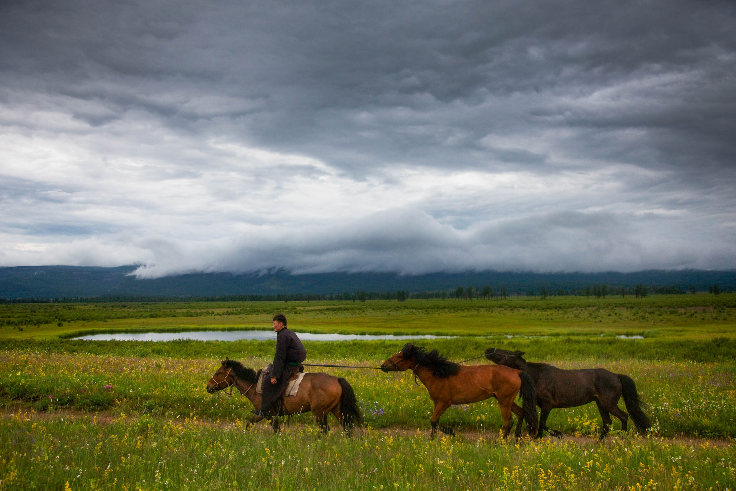 national-geographic-photographer-ben-horton-mongolia-expedition-29.jpg