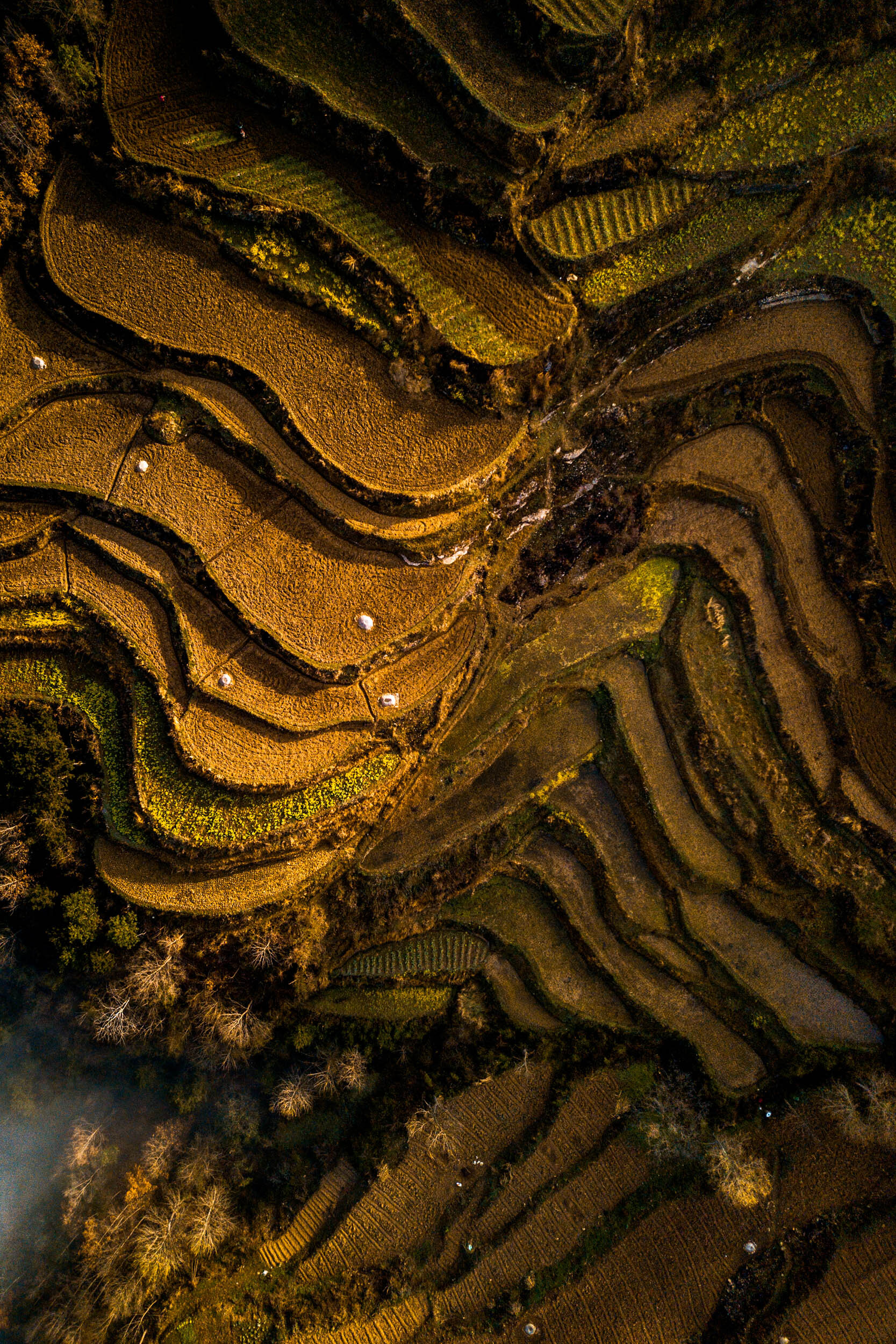 national-geographic-photographer-ben-horton-extreme-china-sinkhole-6.jpg