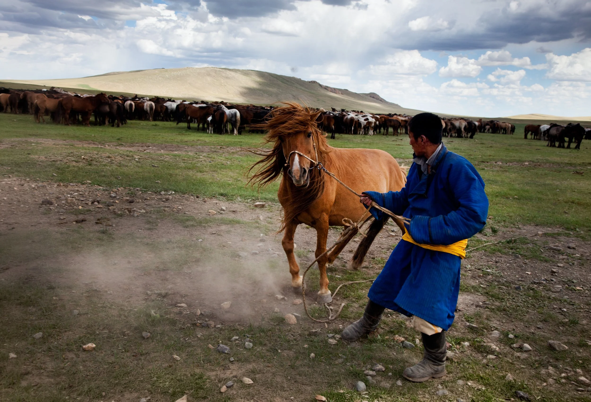 IMG_7338-Edit-Edit-2.jpg