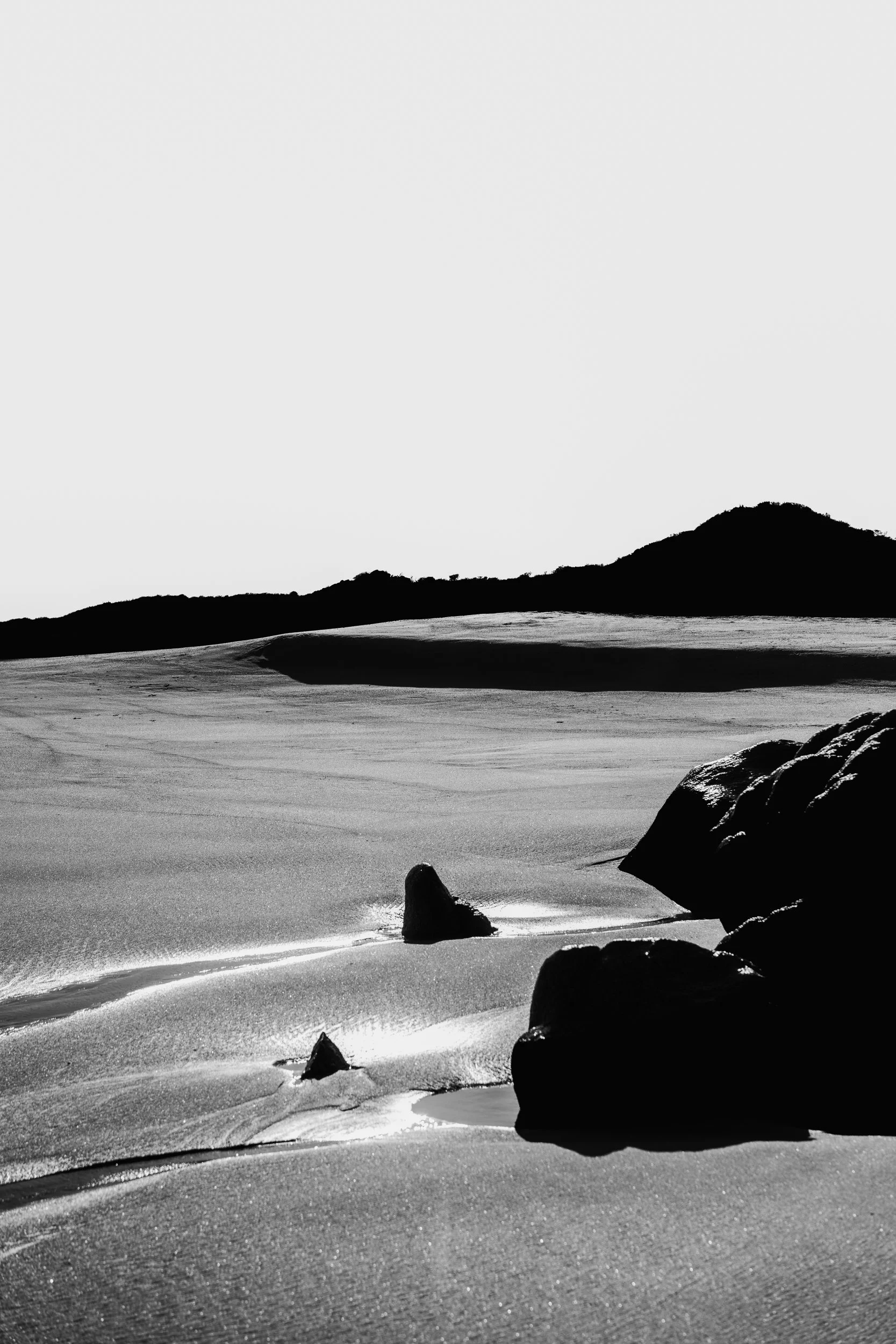 "Still Life-Baja" Edition of 3