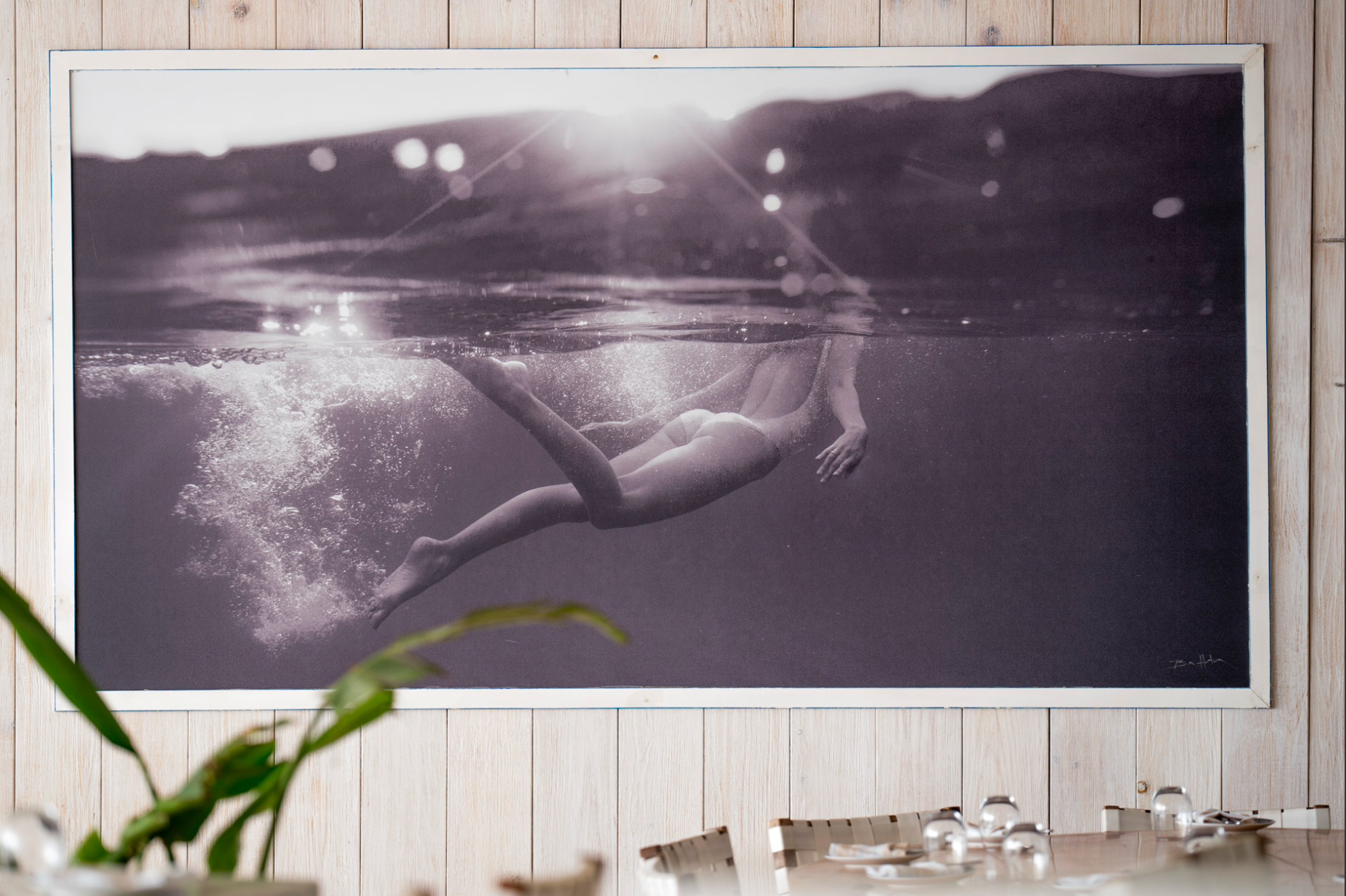 Ben Horton's large format photography displayed at SUR Beach Club, Cabo San Lucas — available as a fine art print