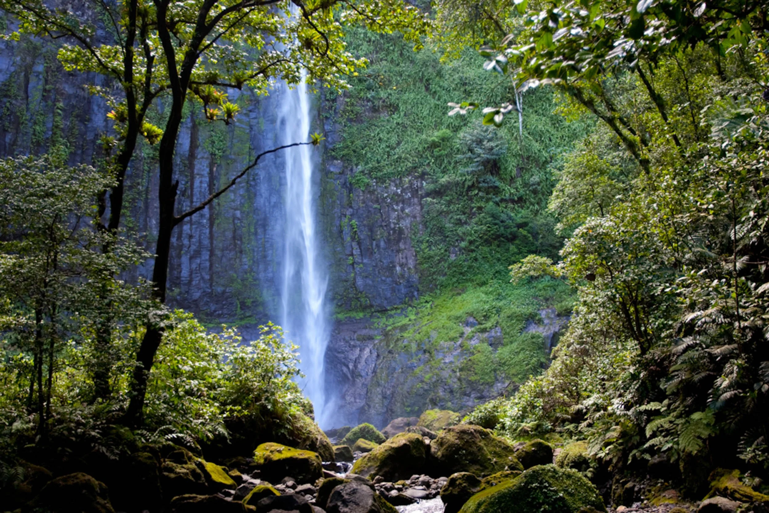 Cocos Island Waterfall