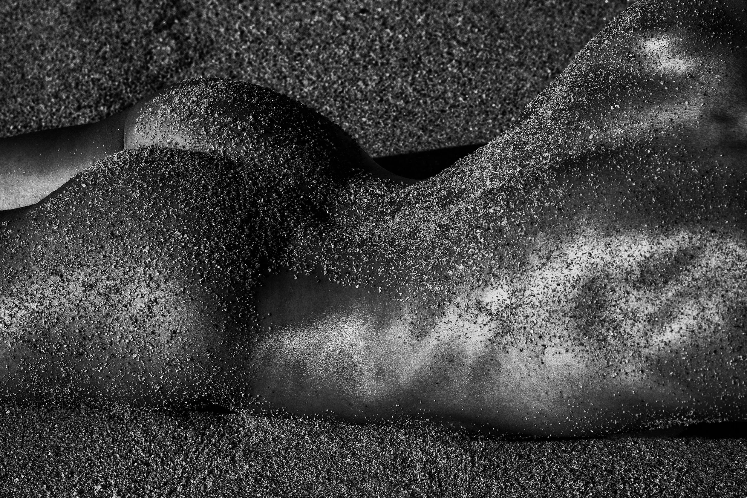 _BFH5347-Edit-Edit copy.jpg