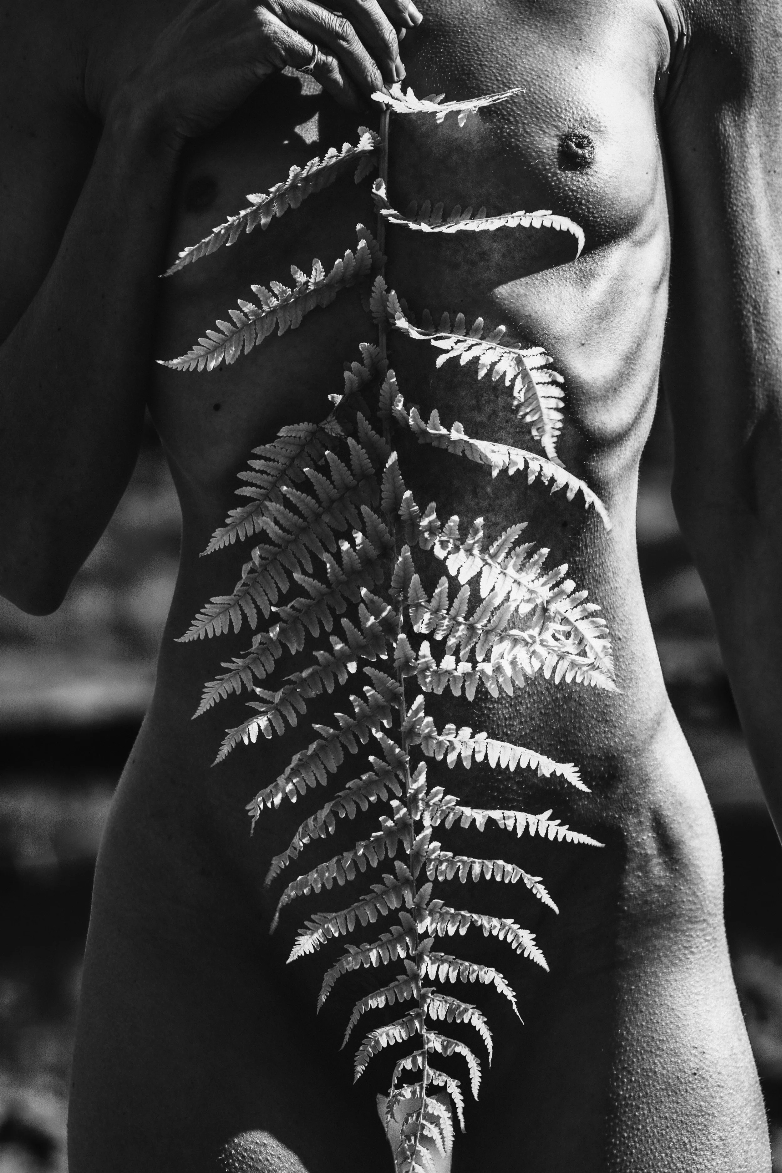 Josephine and Fern 2