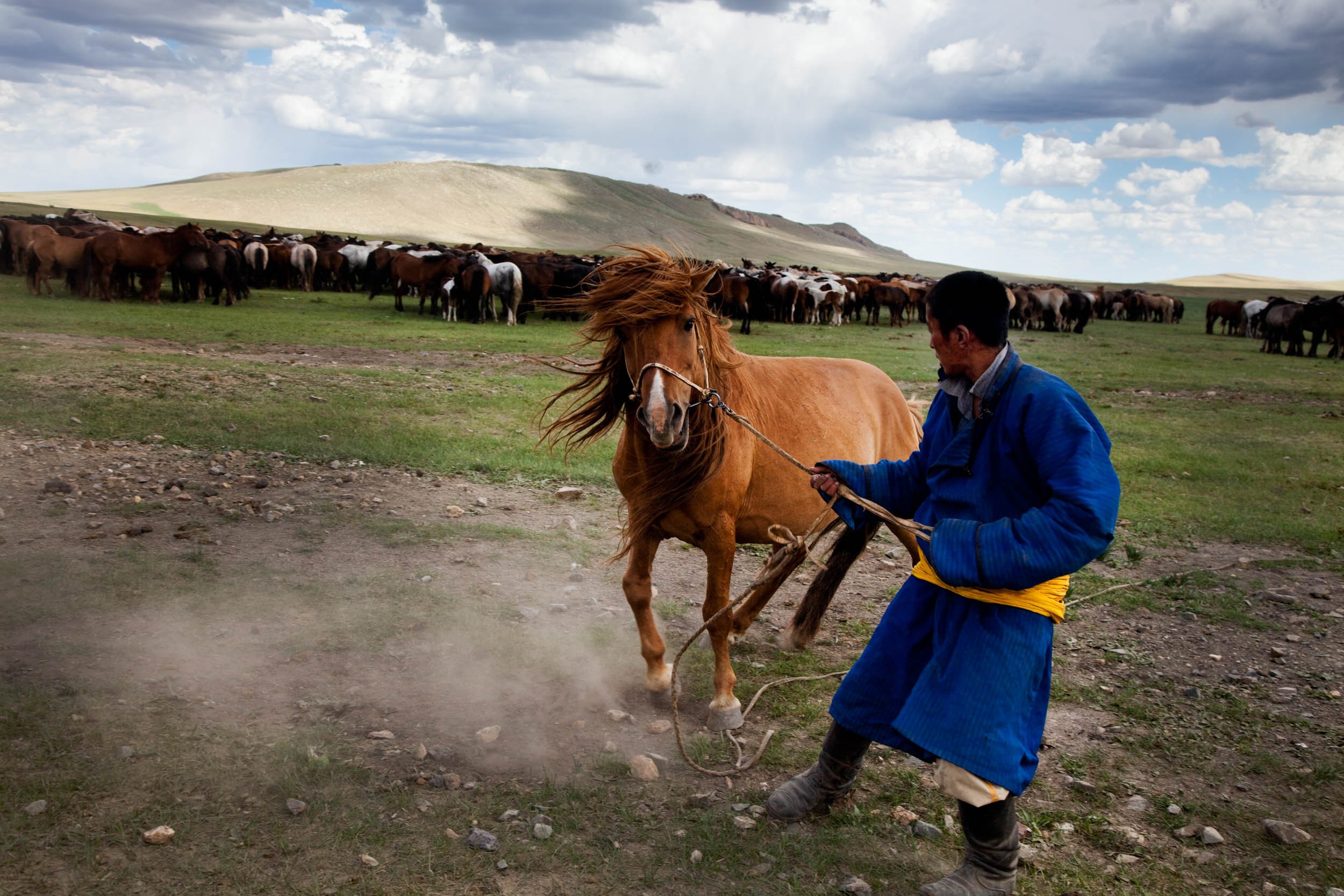 Mongolian Horseman 2