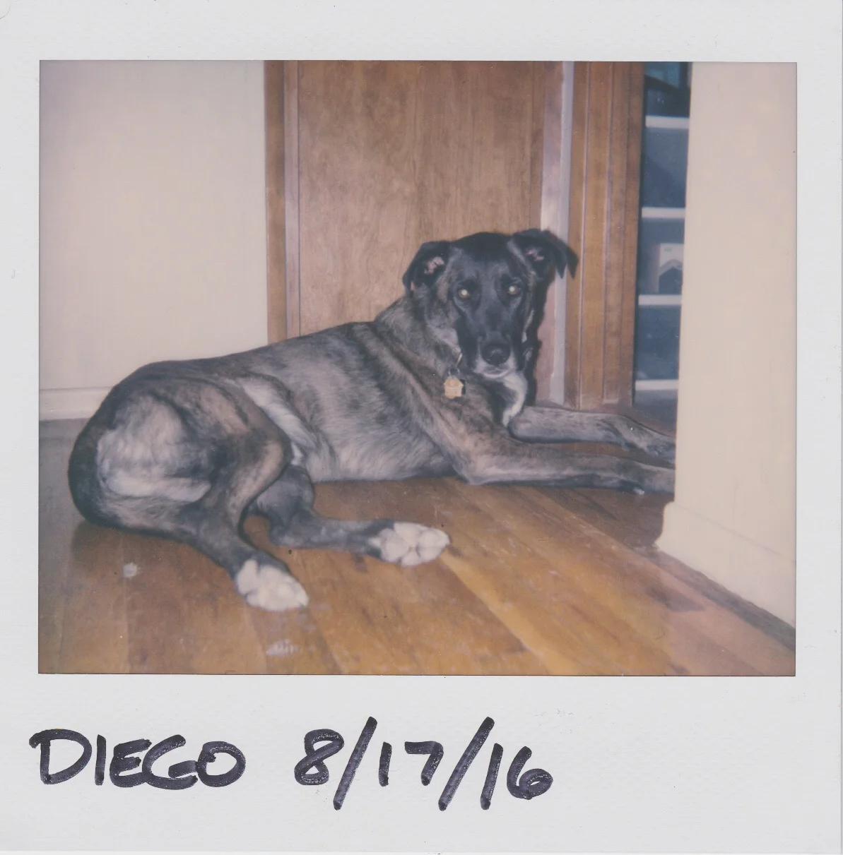 Diego | Polaroid Spectra 2 | Impossible Project Film | Daniel Hedrick