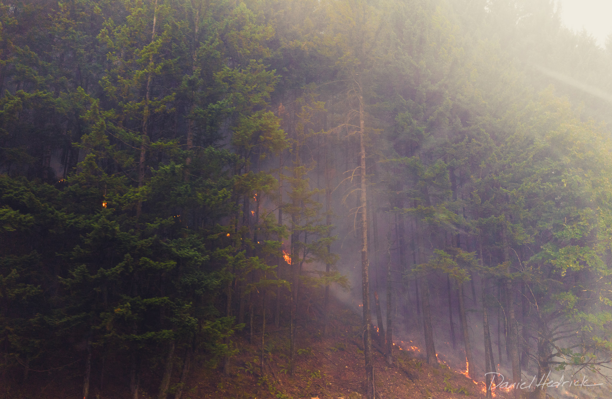 The Gorge was still burning