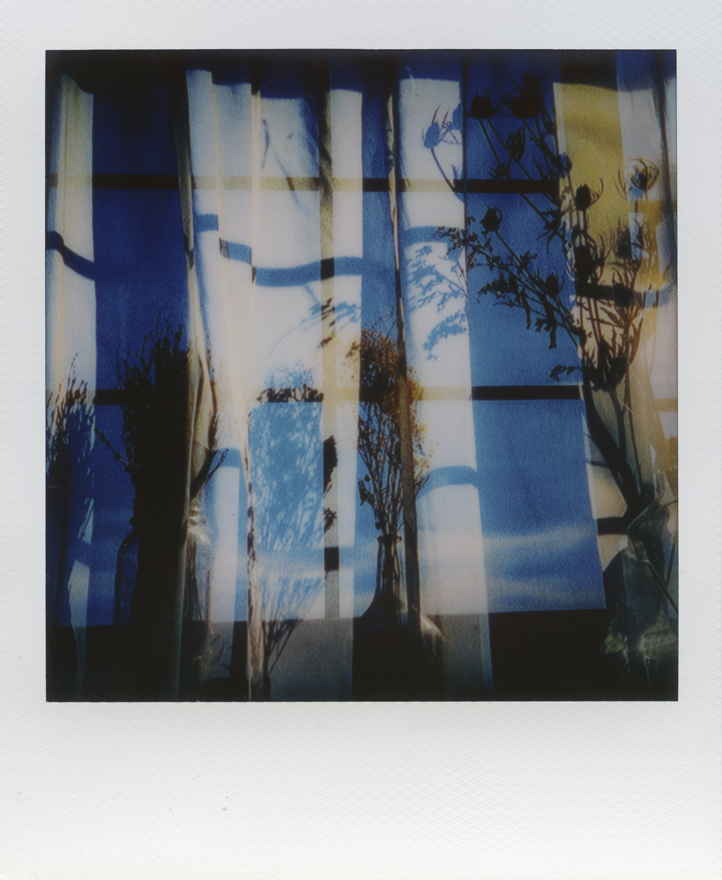  Polaroids taken by Devin Blaskovich 