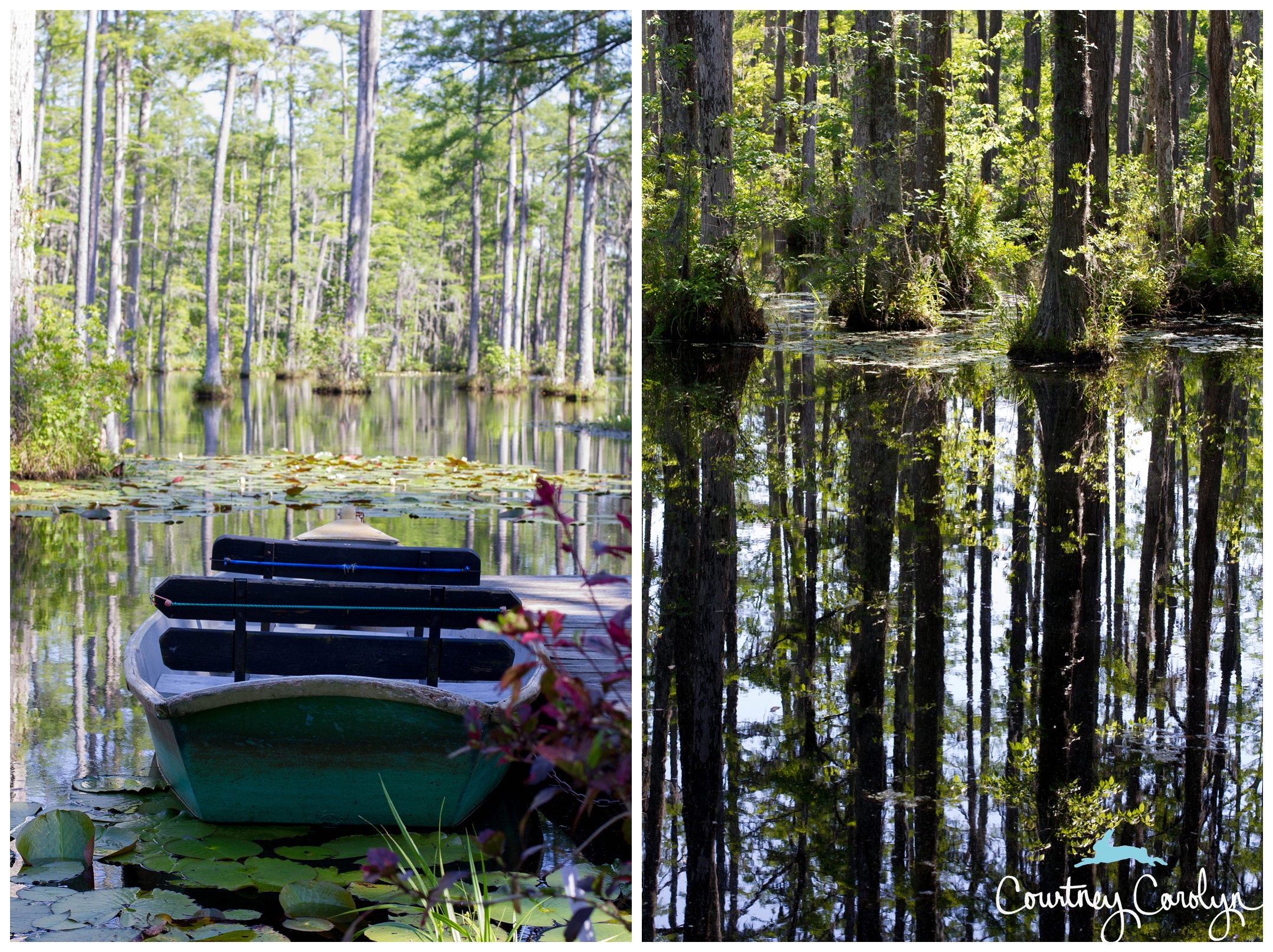 Cypress Gardens