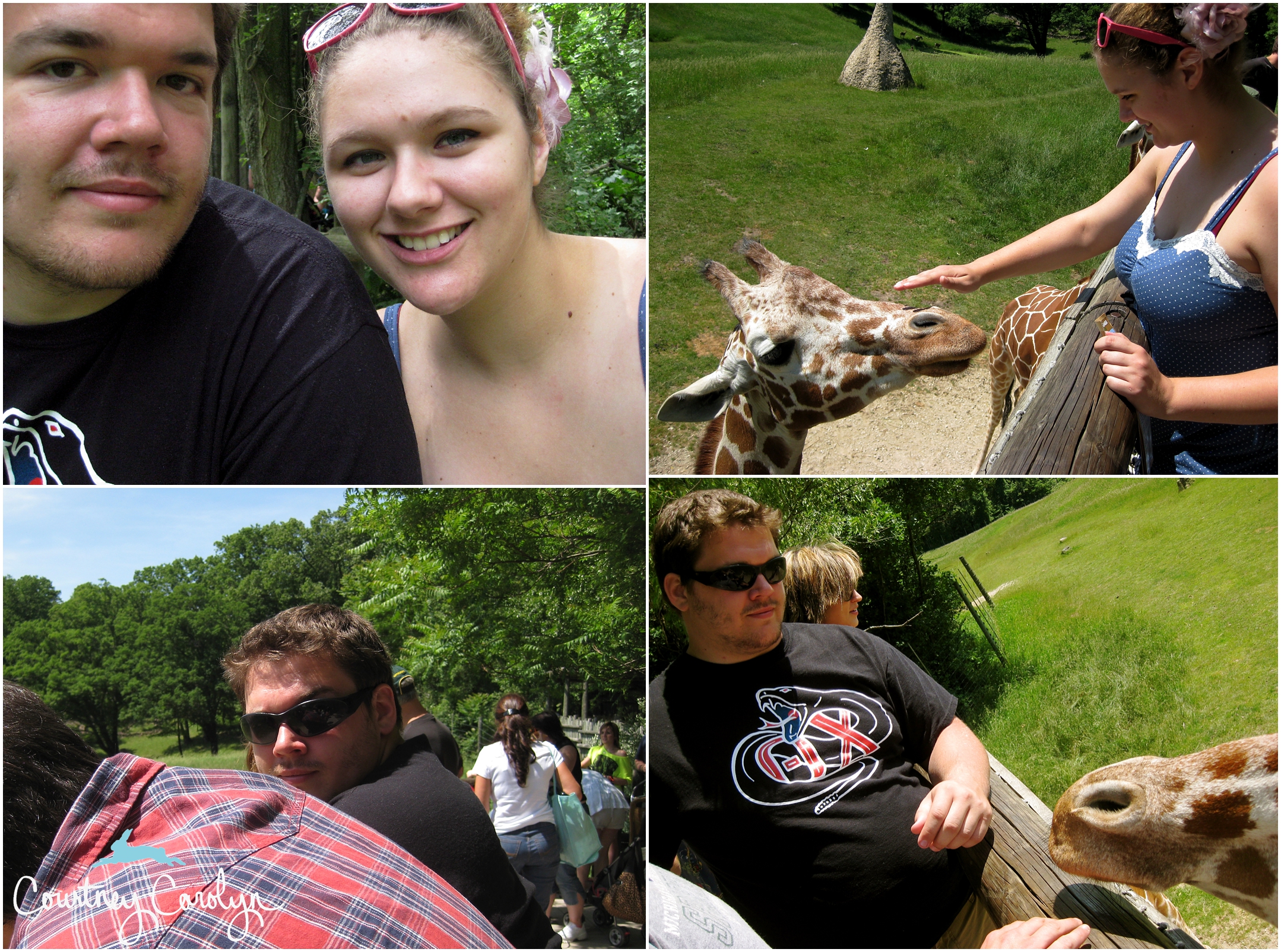 A trip to the Binder Park Zoo! I think I'll pet a giraffe.