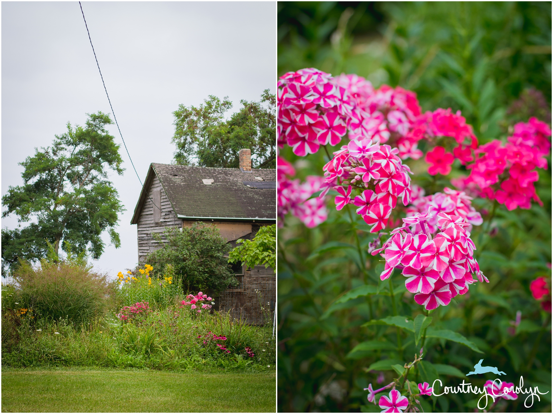 Some of the beautiful flowers from my mom's garden.