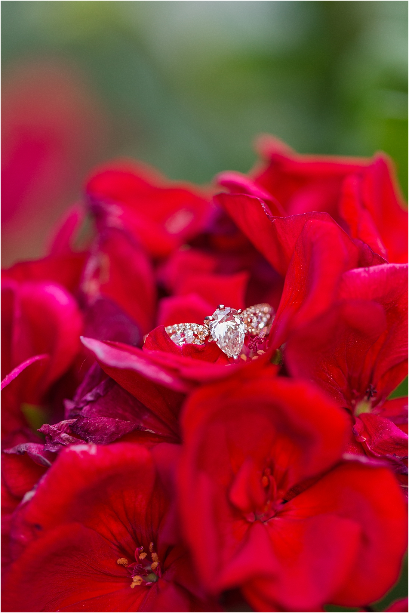 best-of-2016-engagement-photos-with-courtney-carolyn-photography-romantic-timeless-candid-wedding-photographer-in-detroit-mi_0023.jpg