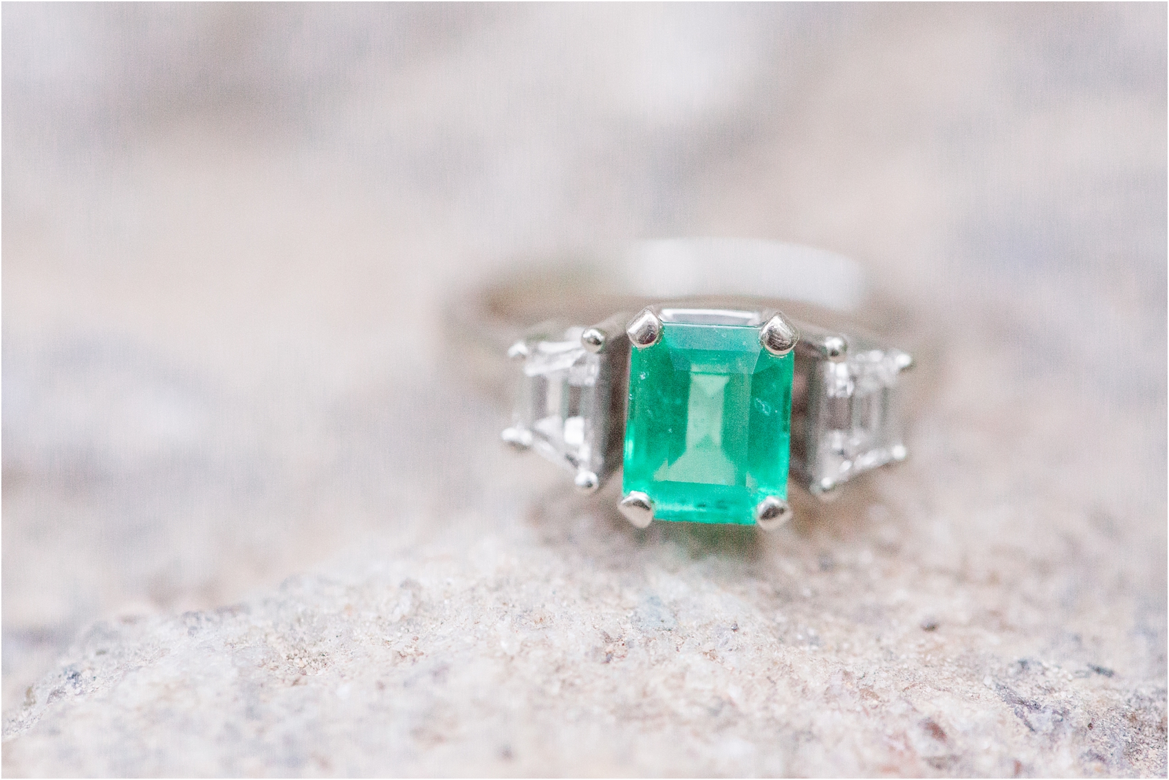 fun-adventurous-engagement-photos-at-the-nichols-arboretum-in-ann-arbor-mi-by-courtney-carolyn-photography_0005.jpg