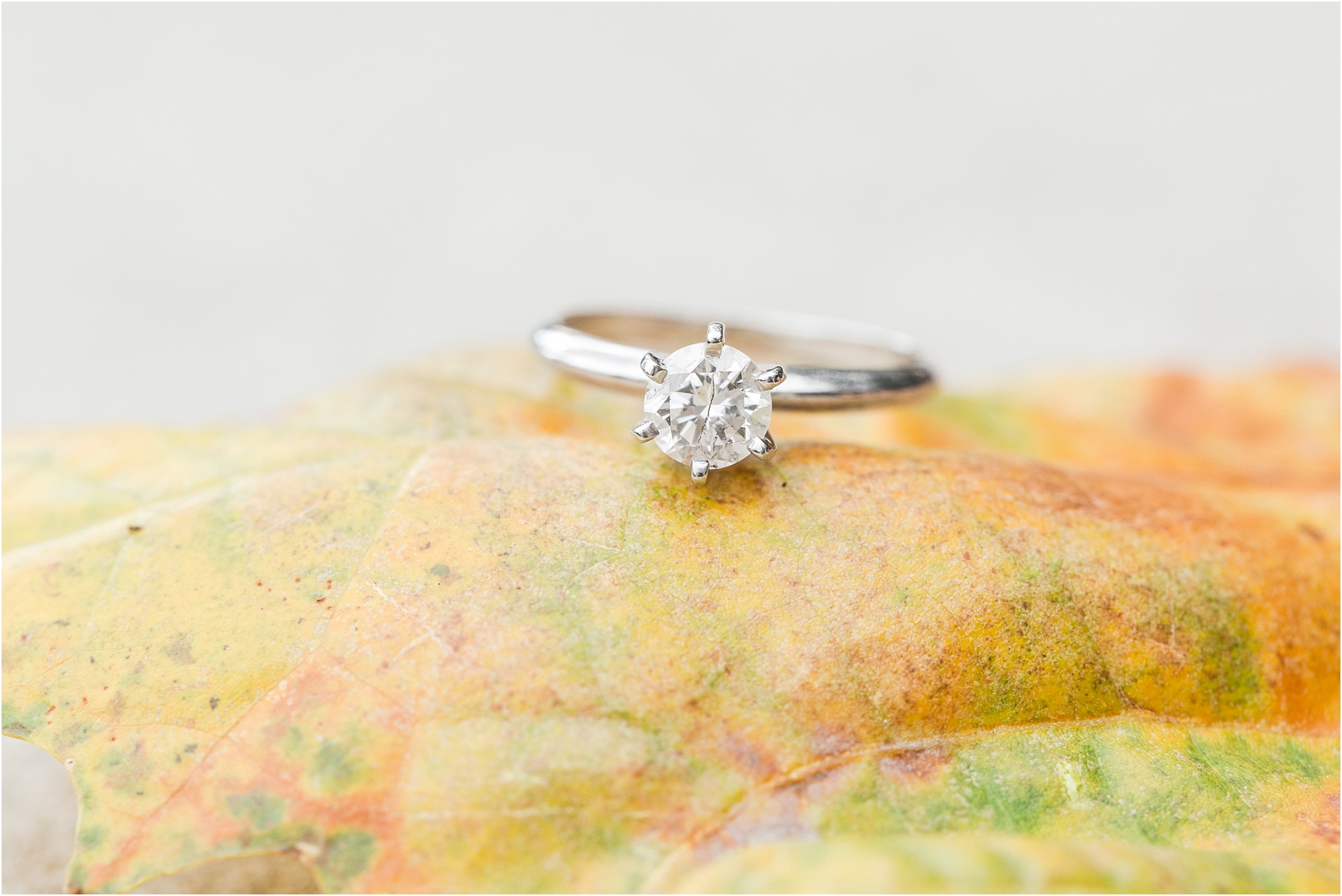 classic-fall-engagement-photos-at-the-university-of-michigan-in-ann-arbor-mi-by-courtney-carolyn-photography_0015.jpg