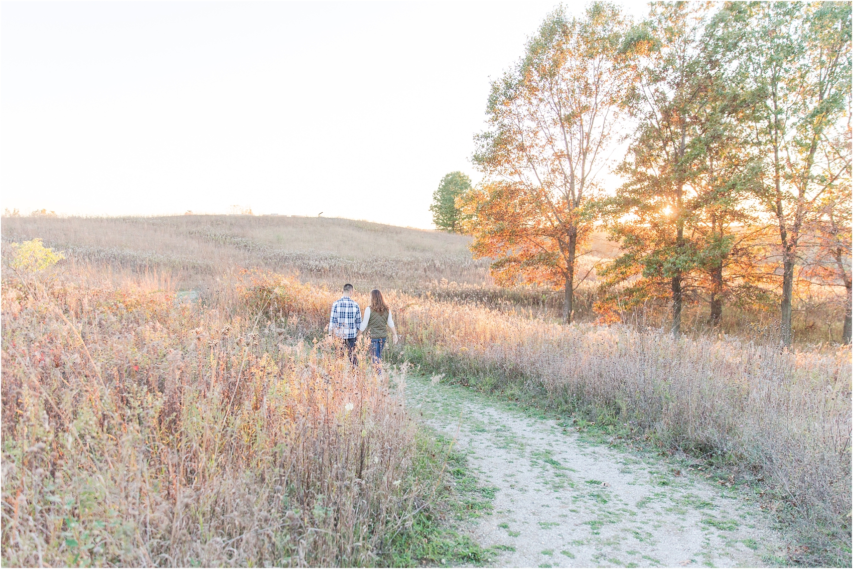 romantic-fall-engagement-photos-at-indian-springs-metropark-in-clarkston-mi-by-courtney-carolyn-photography_0009.jpg