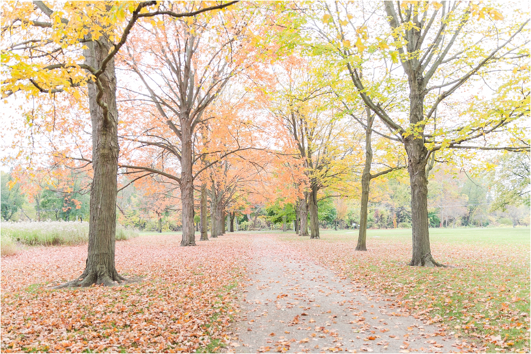 elegant-and-romantic-fall-wedding-photos-at-st-marys-catholic-church-in-monroe-michigan-by-courtney-carolyn-photography_0006.jpg