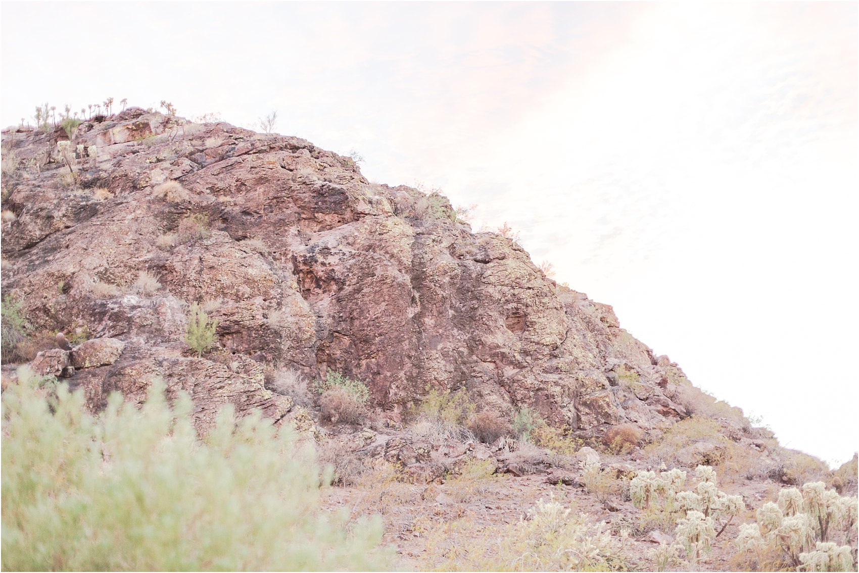 intimate-and-romantic-desert-wedding-photos-at-phoenix-marriott-tempe-at-the-buttes-in-tempe-arizona-by-courtney-carolyn-photography_0017.jpg