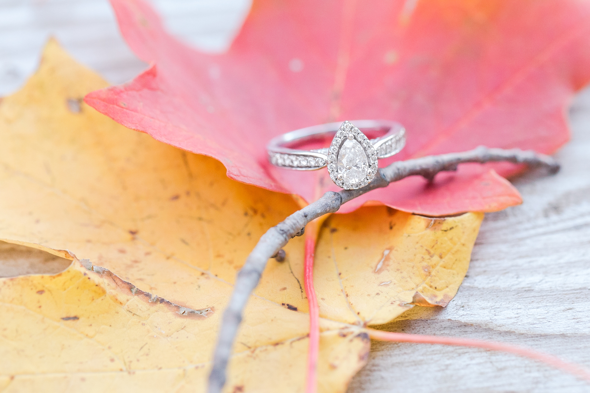 cozy-fall-engagement-photos-at-an-old-family-farm-in-monroe-michigan-by-courtney-carolyn-photography_0017.jpg